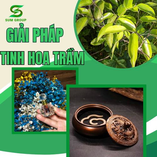 Giải Pháp “Tinh Hoa Trầm Hương” – Sum Group